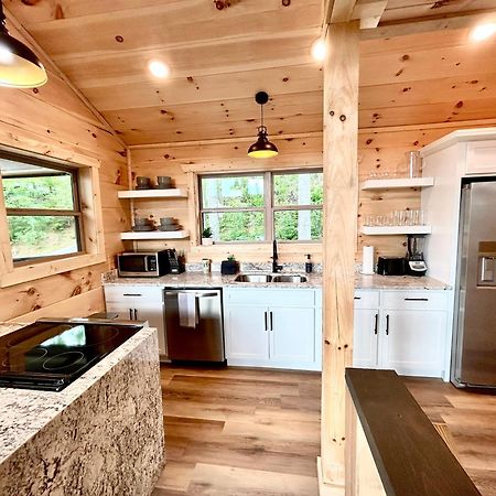 Cloudchaser Cabin, Private, New Cabin, 2 Kings, Cozy, Modern, Hot Tub, View, Theater Villa Sevierville Exterior foto